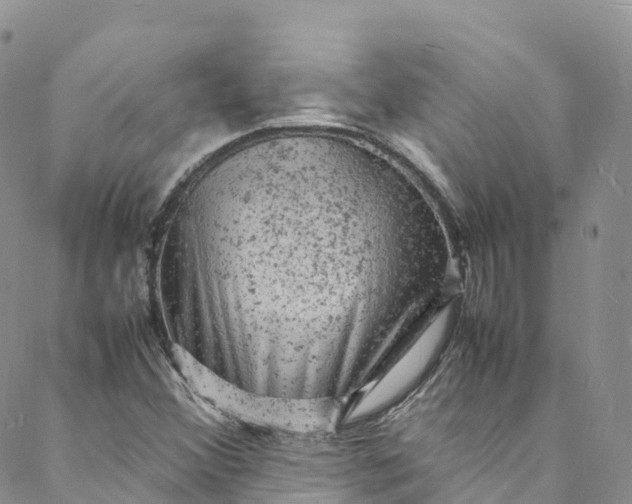 X0000088031356200705251106