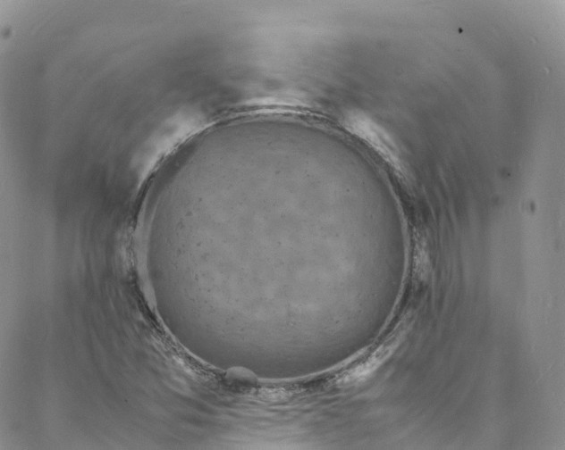 X0000088031357200705251106