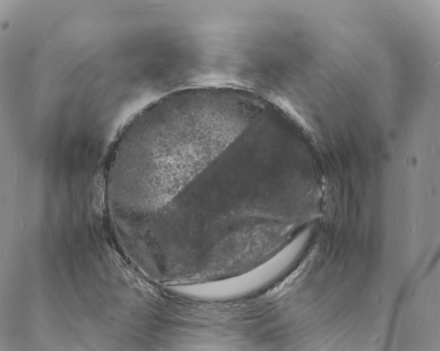 X0000088031358200705251106