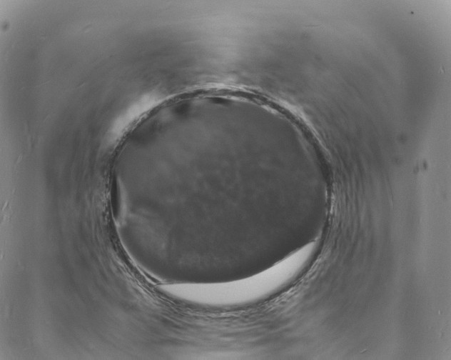 X0000088031359200705251106