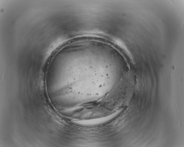 X0000088031360200705251106