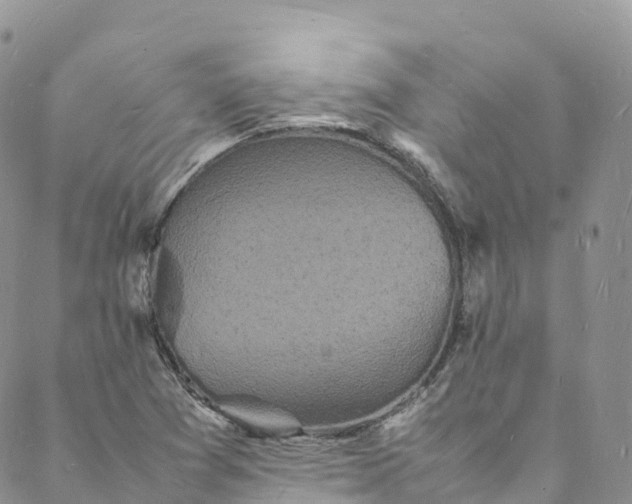 X0000088031361200705251106