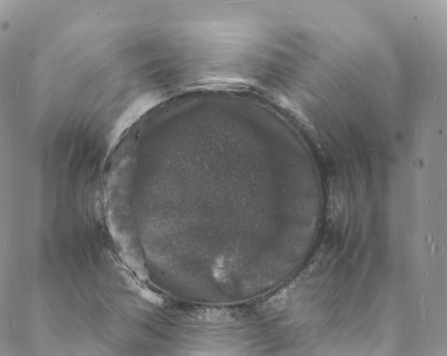 X0000088031362200705251106