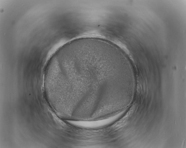 X0000088031366200705251106