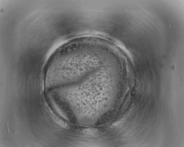 X0000088031368200705251106