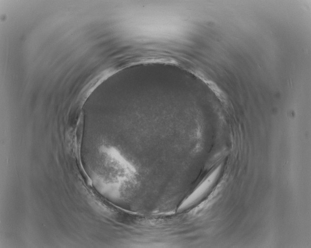 X0000088031369200705251106