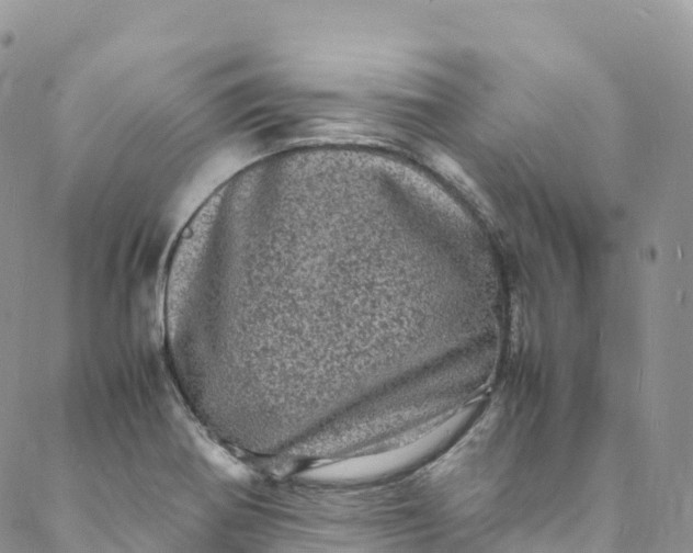 X0000088031370200705251106