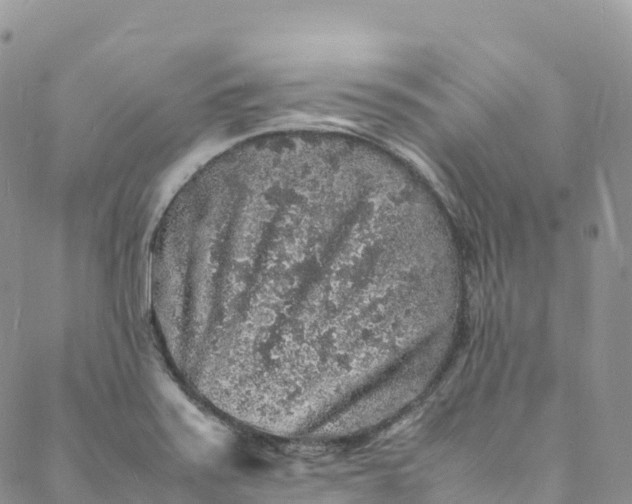 X0000088031371200705251106