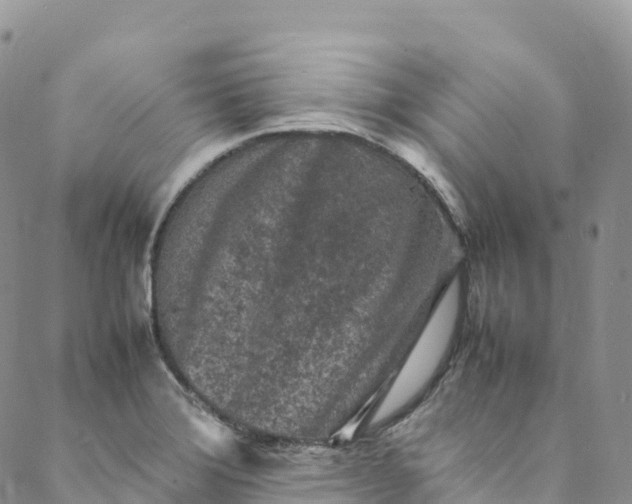 X0000088031372200705251106