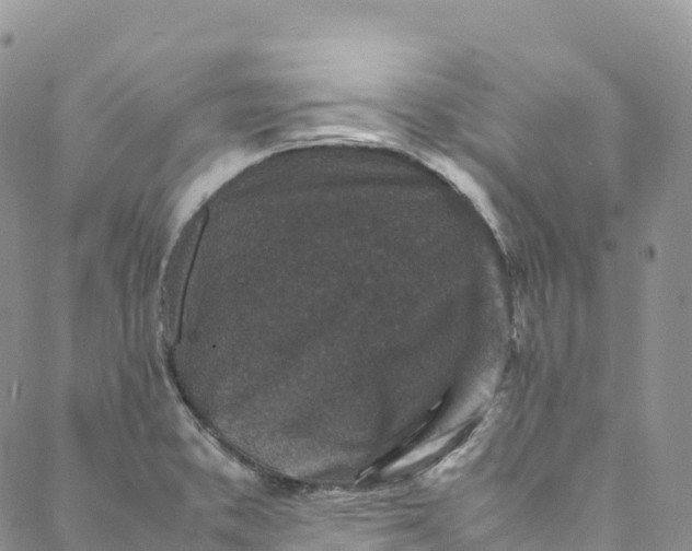 X0000088031373200705251106