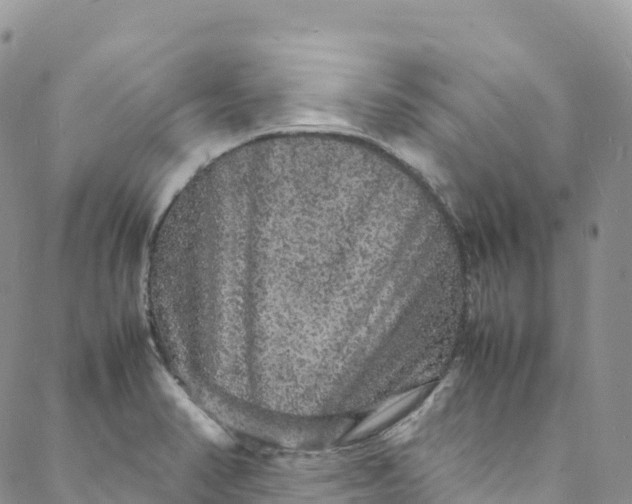 X0000088031374200705251106