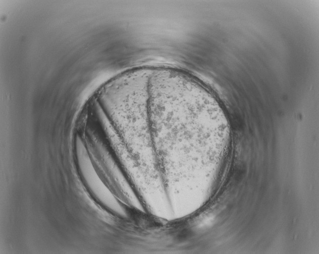 X0000088031375200705251106