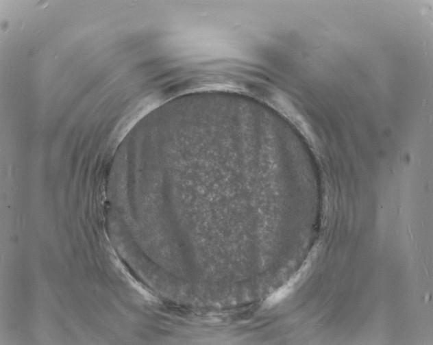 X0000088031377200705251106