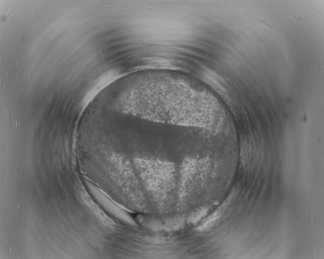 X0000088031378200705251106