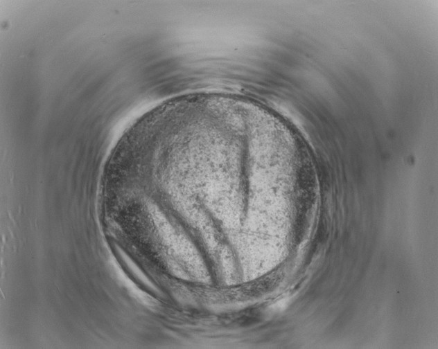 X0000088031379200705251106