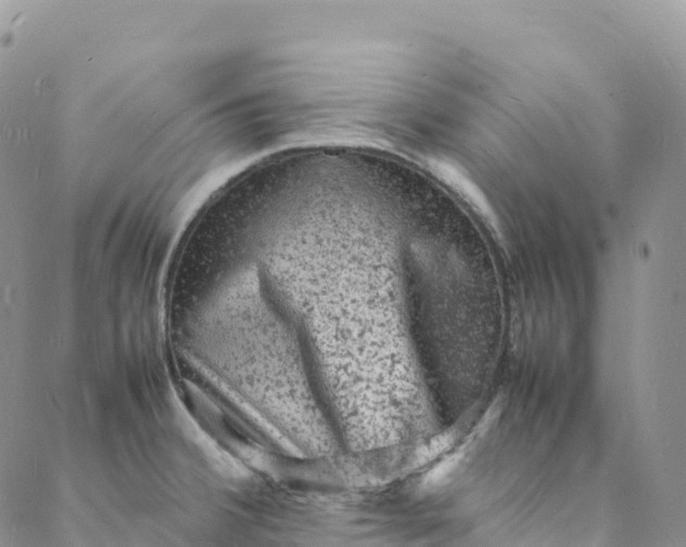 X0000088031380200705251106