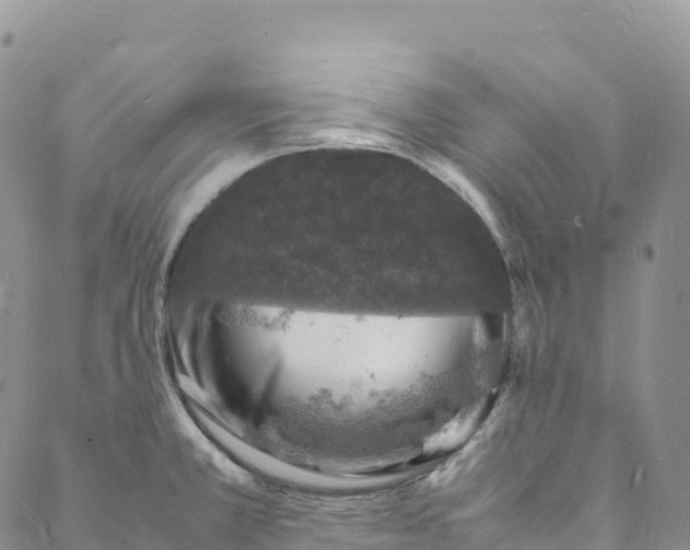 X0000088031381200705251106