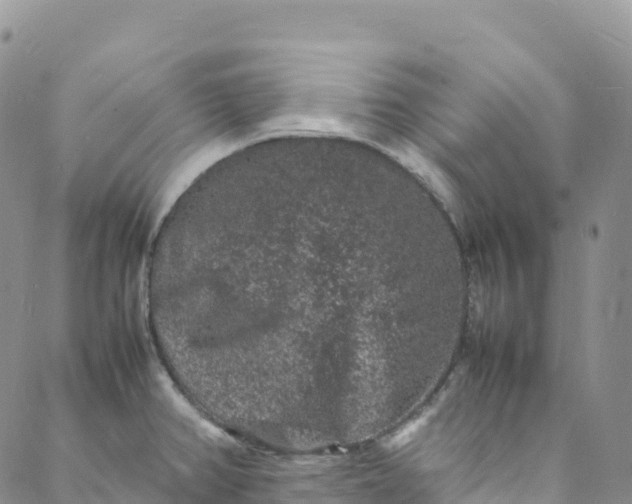 X0000088031382200705251106