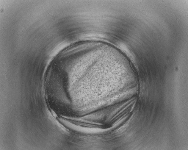 X0000088031384200705251106