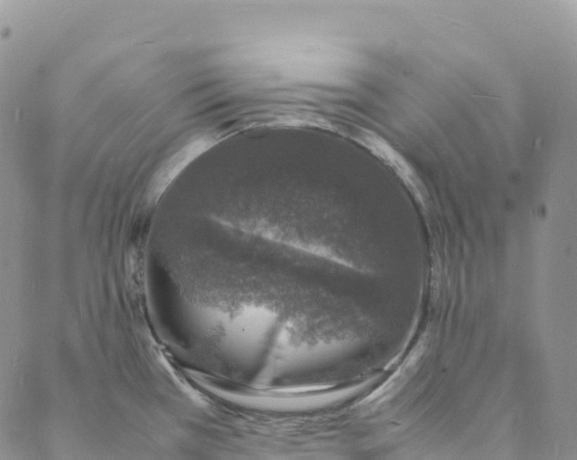 X0000088031385200705251106