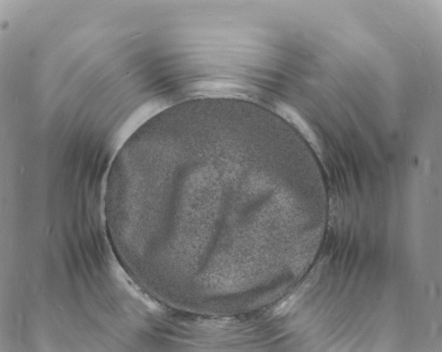 X0000088031386200705251106