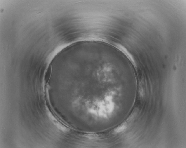 X0000088031388200705251105