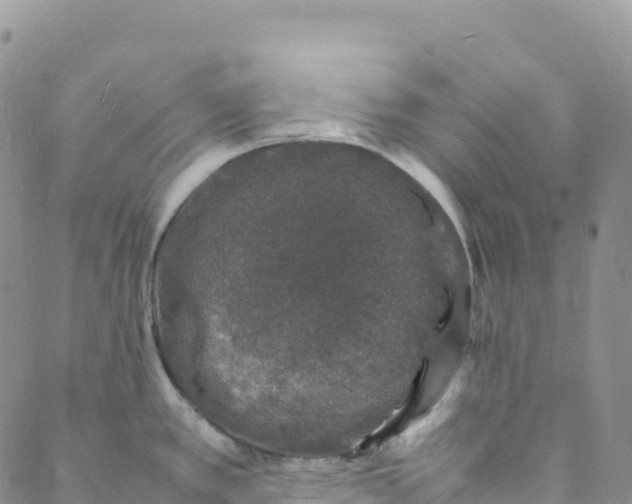 X0000088031389200705251105