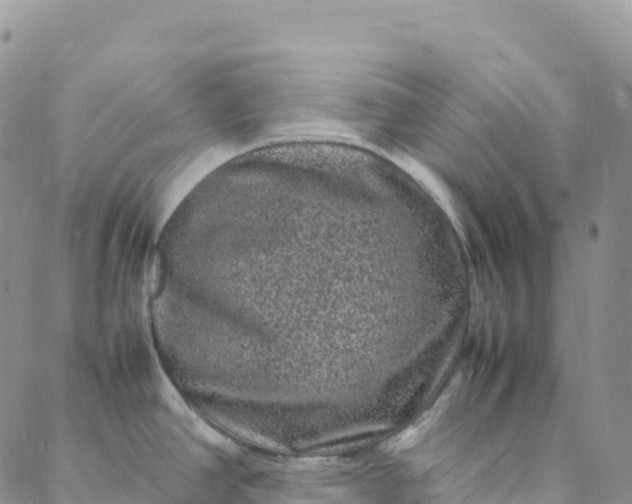 X0000088031390200705251105