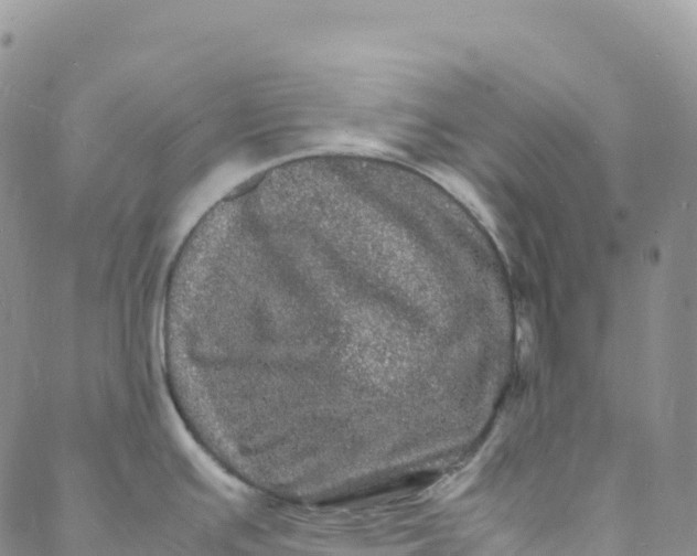 X0000088031391200705251105