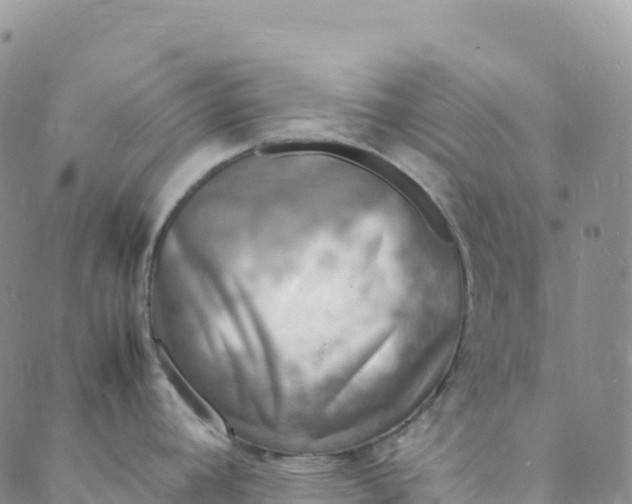 X0000088031392200705251105