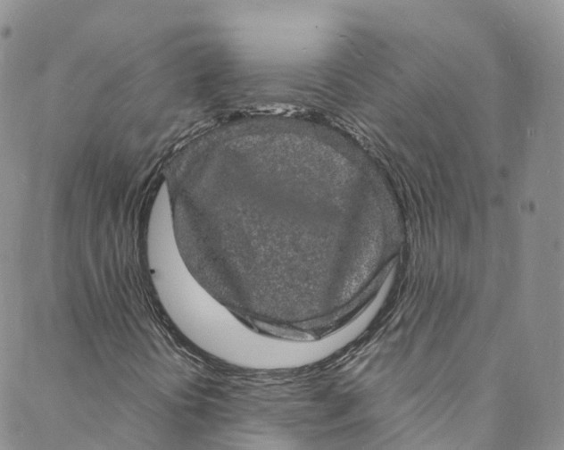 X0000088031394200705251105