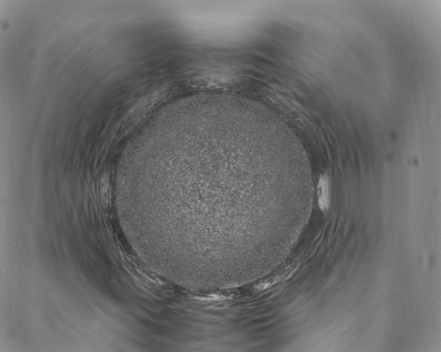 X0000088031395200705251105