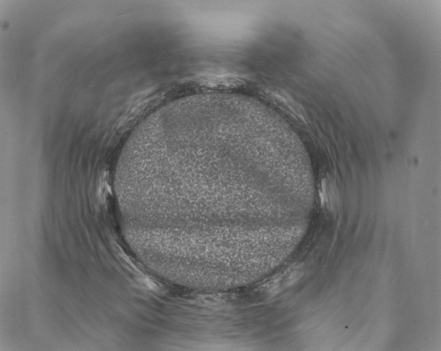 X0000088031396200705251105