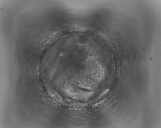 X0000088031397200705251105