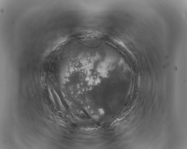 X0000088031399200705251105