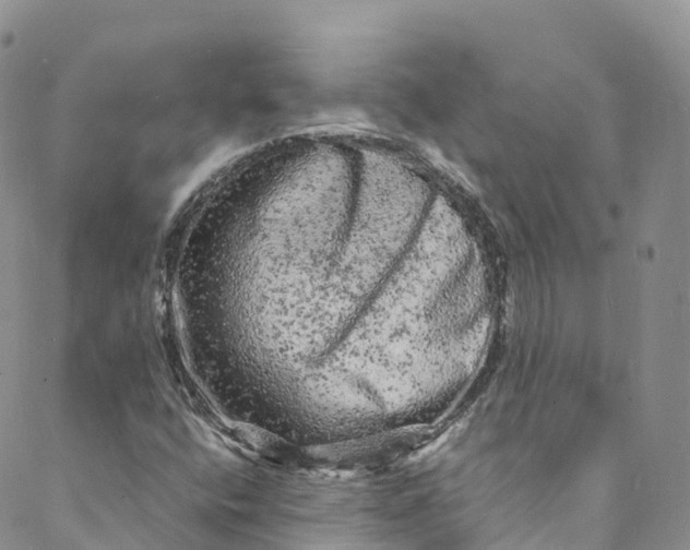 X0000088031400200705251105