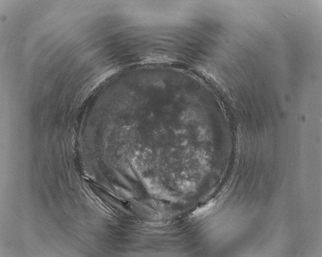 X0000088031401200705251105