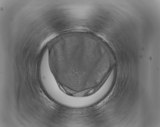 X0000088031402200705251105