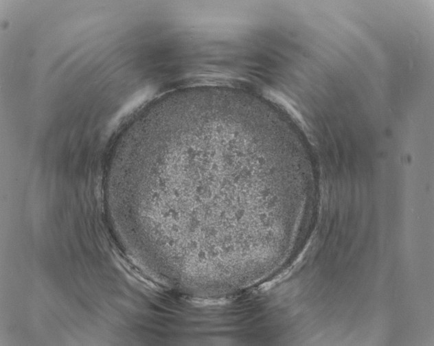 X0000088031403200705251105