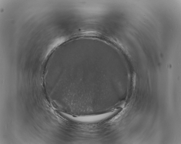 X0000088031405200705251105