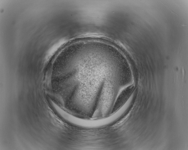 X0000088031406200705251105