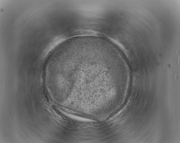 X0000088031407200705251105