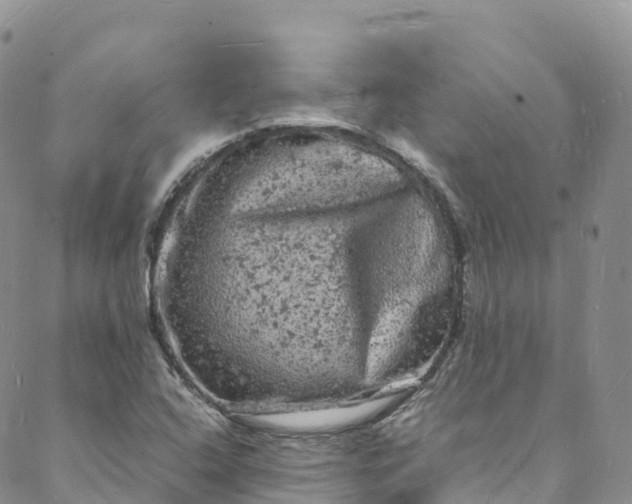 X0000088031408200705251105