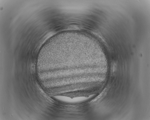 X0000088031409200705251105