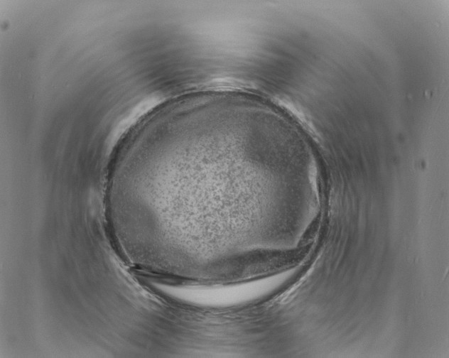 X0000088031410200705251105