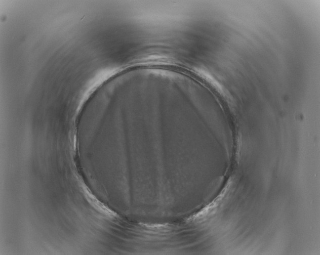 X0000088031413200705251105