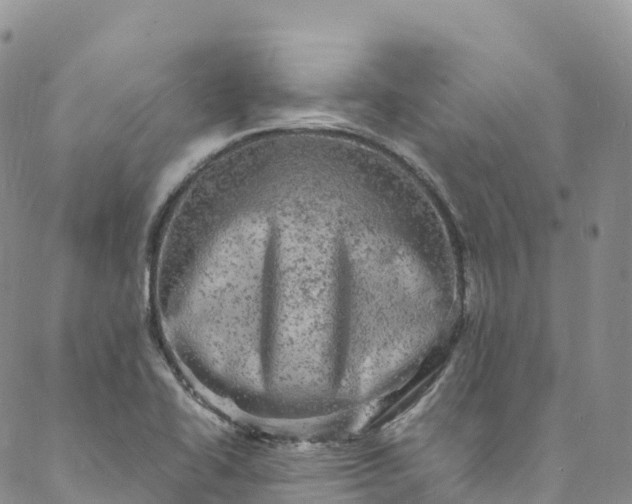 X0000088031414200705251105