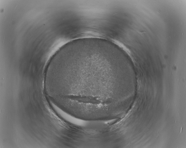 X0000088031415200705251105