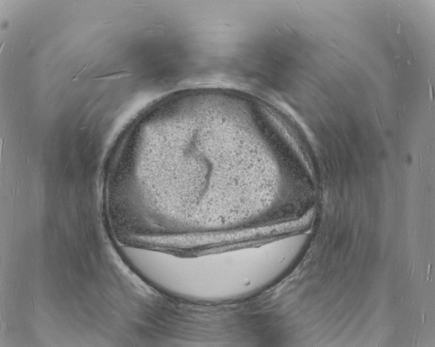 X0000088031416200705251105