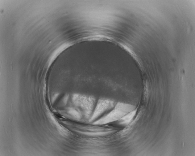 X0000088031418200705251105